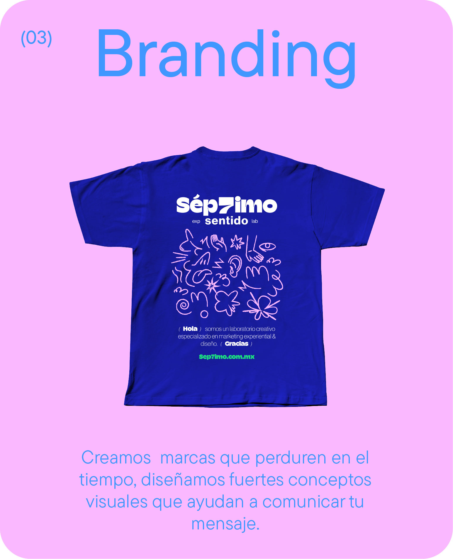 Single Project Image